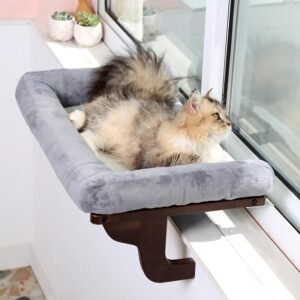 Cat Perch