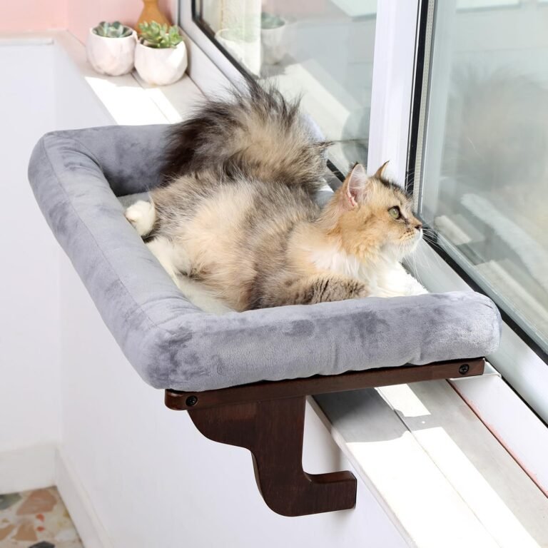 Product Reviews 2 Cat Perch