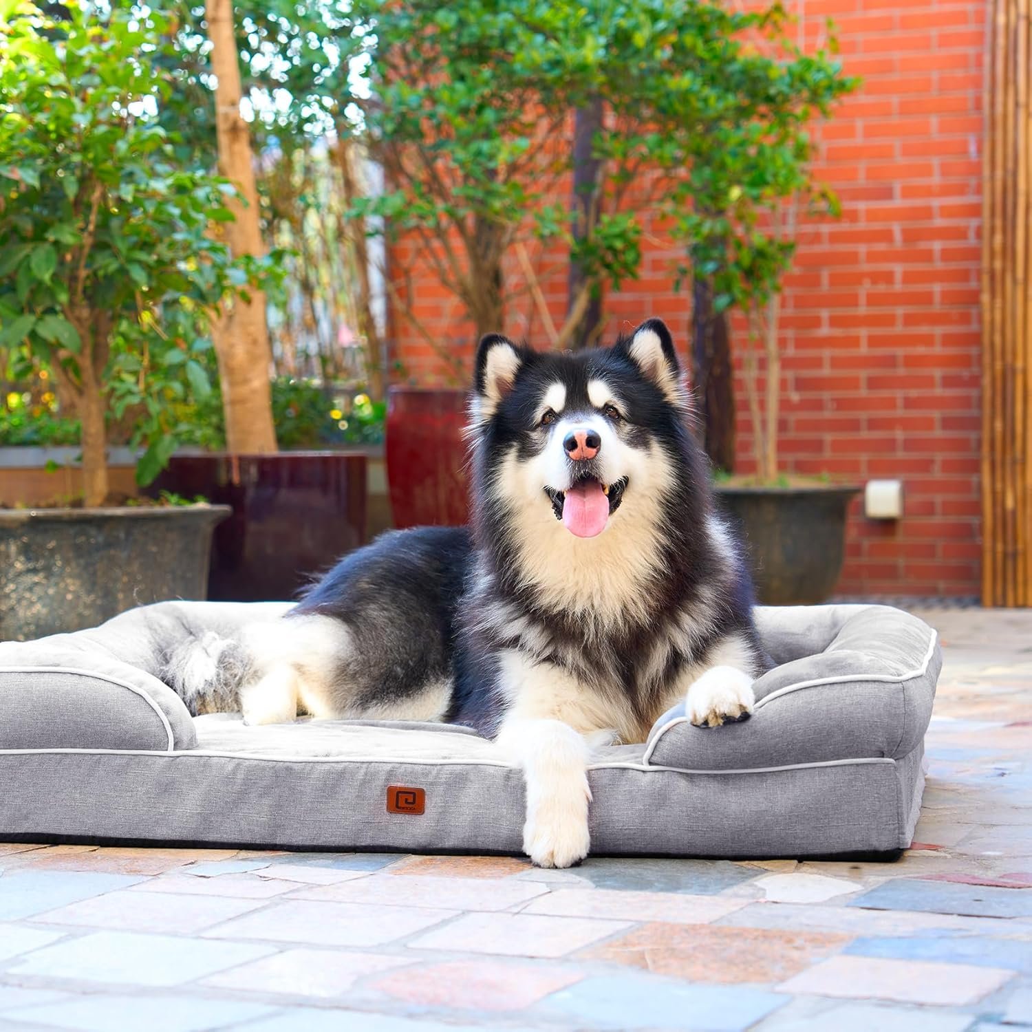 Dog Beds