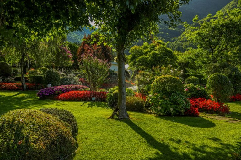 drought tolerant landscaping ideas