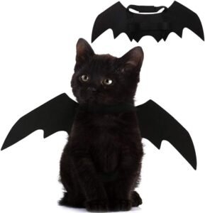 black cat wearing cat bat wings costume with adjustable straps
