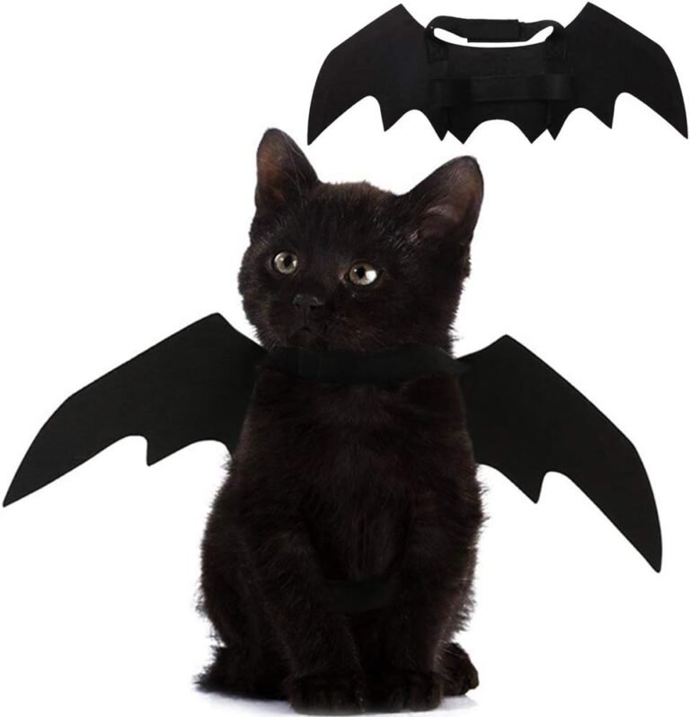 black cat wearing cat bat wings costume with adjustable straps