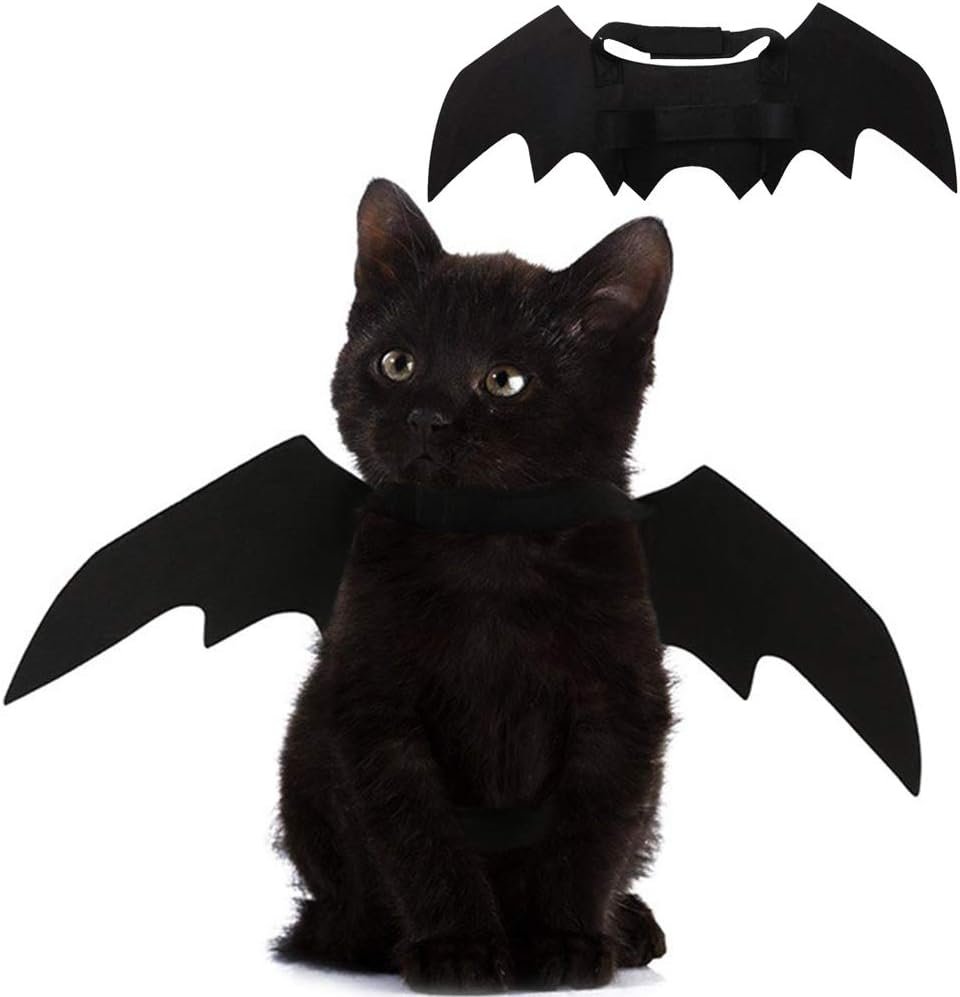 black cat wearing cat bat wings costume with adjustable straps