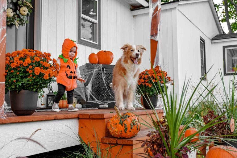 Halloween Pet Safety: 2 Real Risks Purdue Researchers Say to Watch For 6 dog and child in costume on decorated Halloween porch