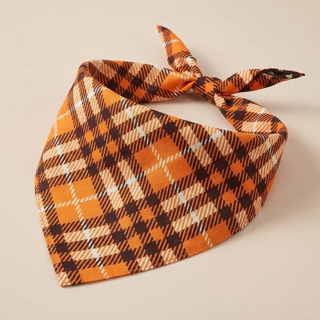 close-up of dog bandana fabric and adjustable tie construction